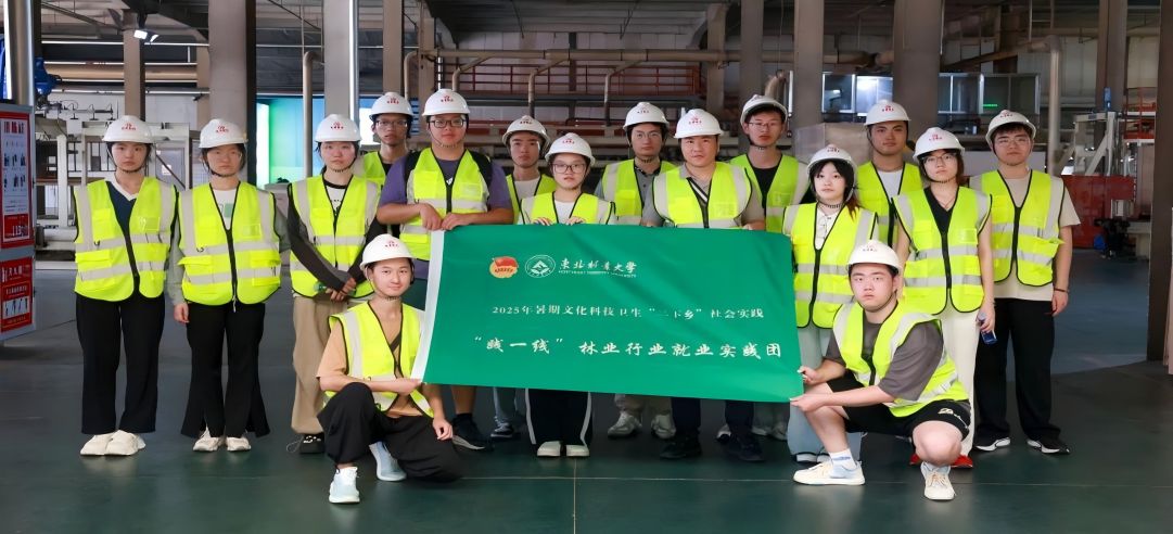 東北林業大學“踐一線”林業行業就業實踐團走進新港集團，共繪產教融合新圖景！