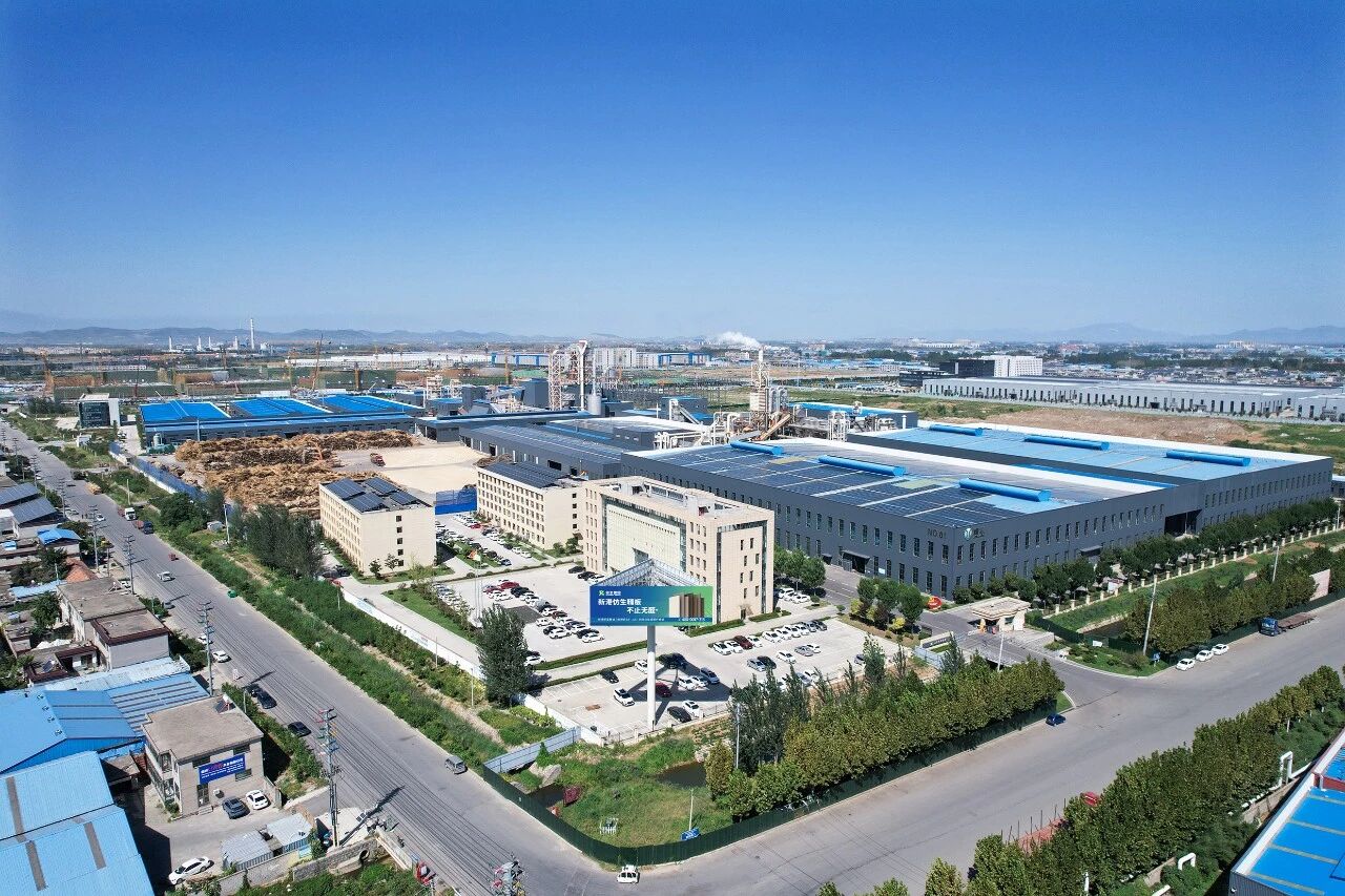 官媒聚焦！新港仿生膠，破解世界級(jí)環(huán)保難題