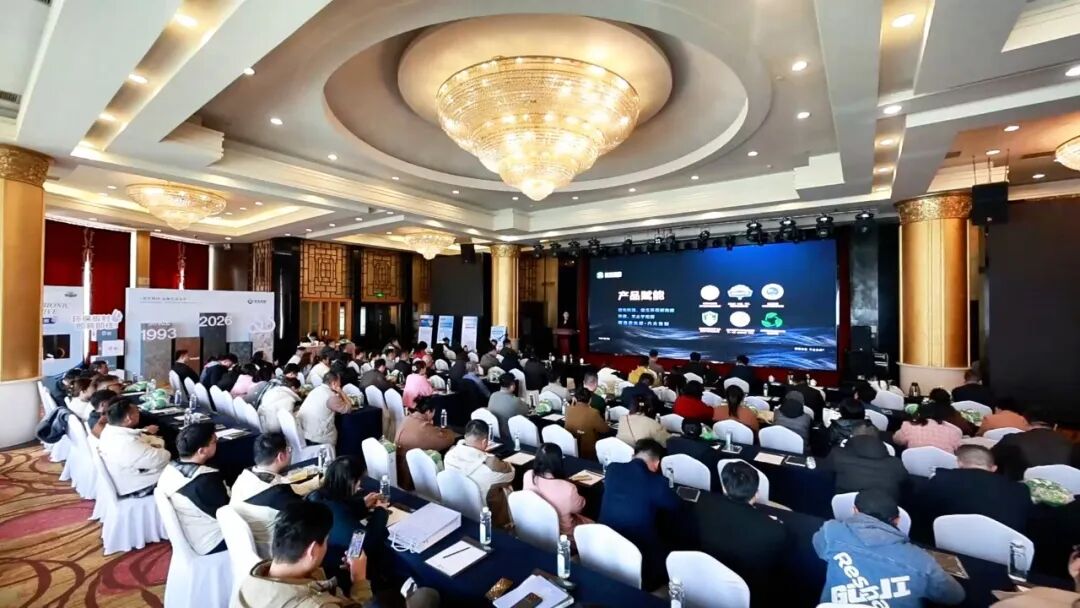 一場會議揭秘新港2026核心打法：回歸本質(zhì)，鑄就“環(huán)保+美學(xué)”的綜合價值競爭力